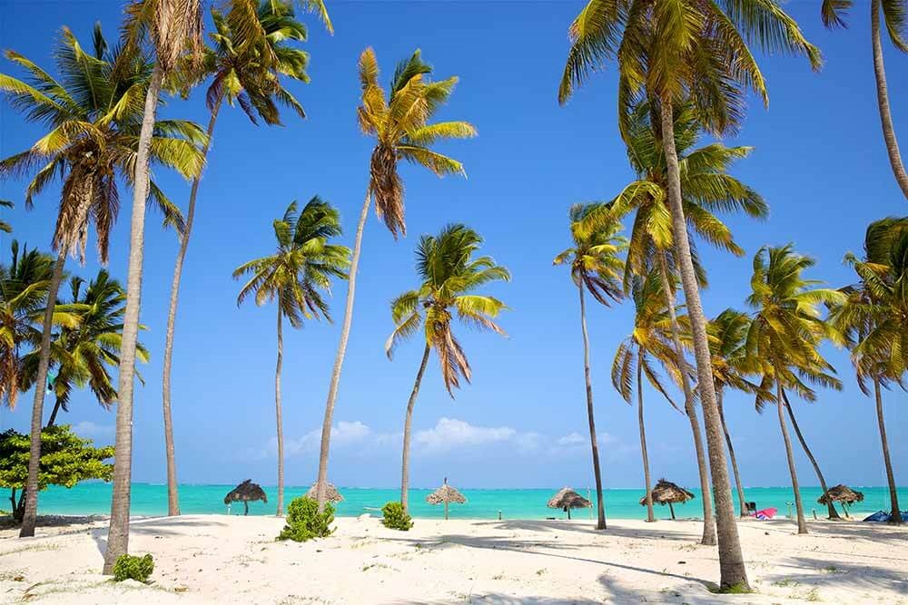 Zanzibar Coastline